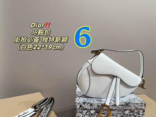 Dior Saddle Bag · 5514
