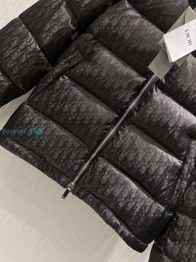 Dior Oblique Down Jacket · 4836 — תמונה 38