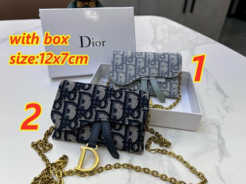 Dior Saddle · 4811