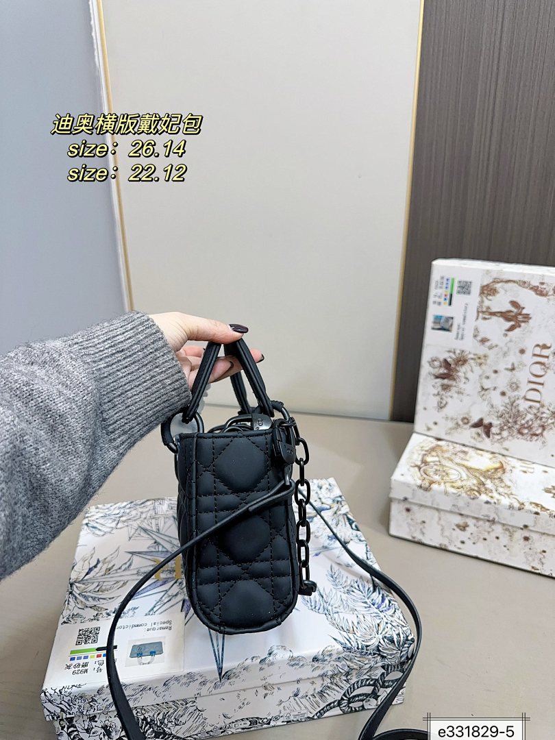 Lady Dior · 5186 — תמונה 13