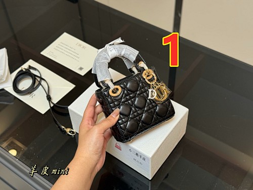 Mini Lady Dior Bag · 5552