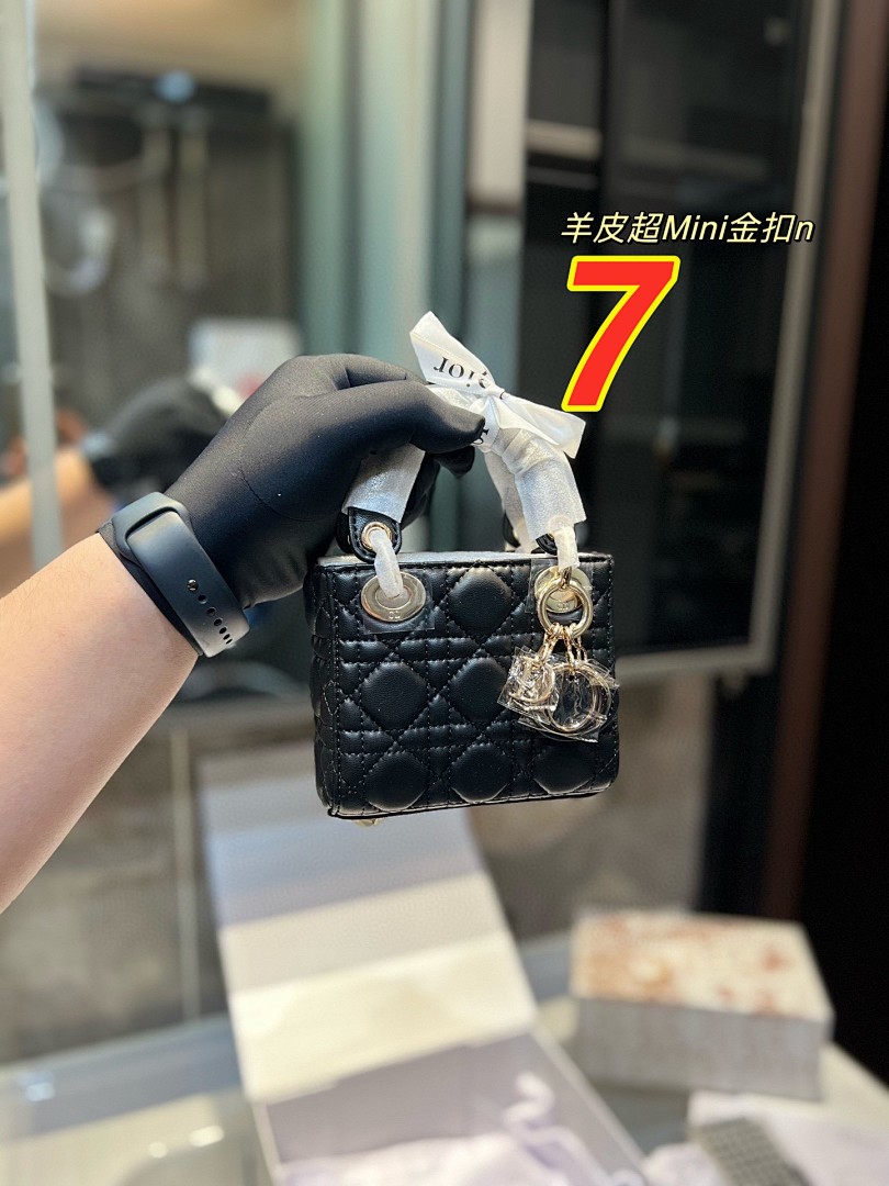 Mini Lady Dior Bag · 5050