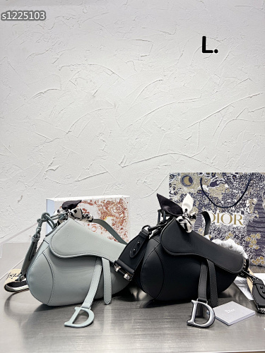 Dior Saddle Bag · 2680