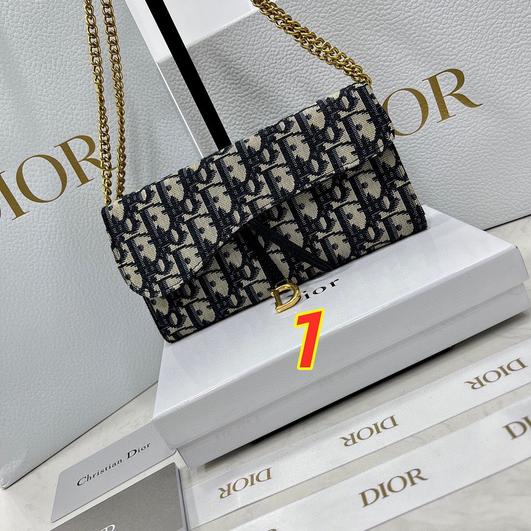 Dior Saddle Wallet on Chain · 5520