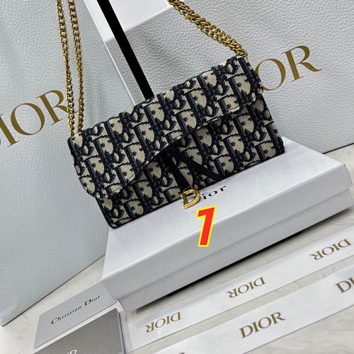 Dior Saddle Wallet on Chain · 5520