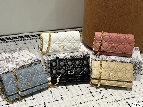 Dior Caro Pouch with Chain · 5073