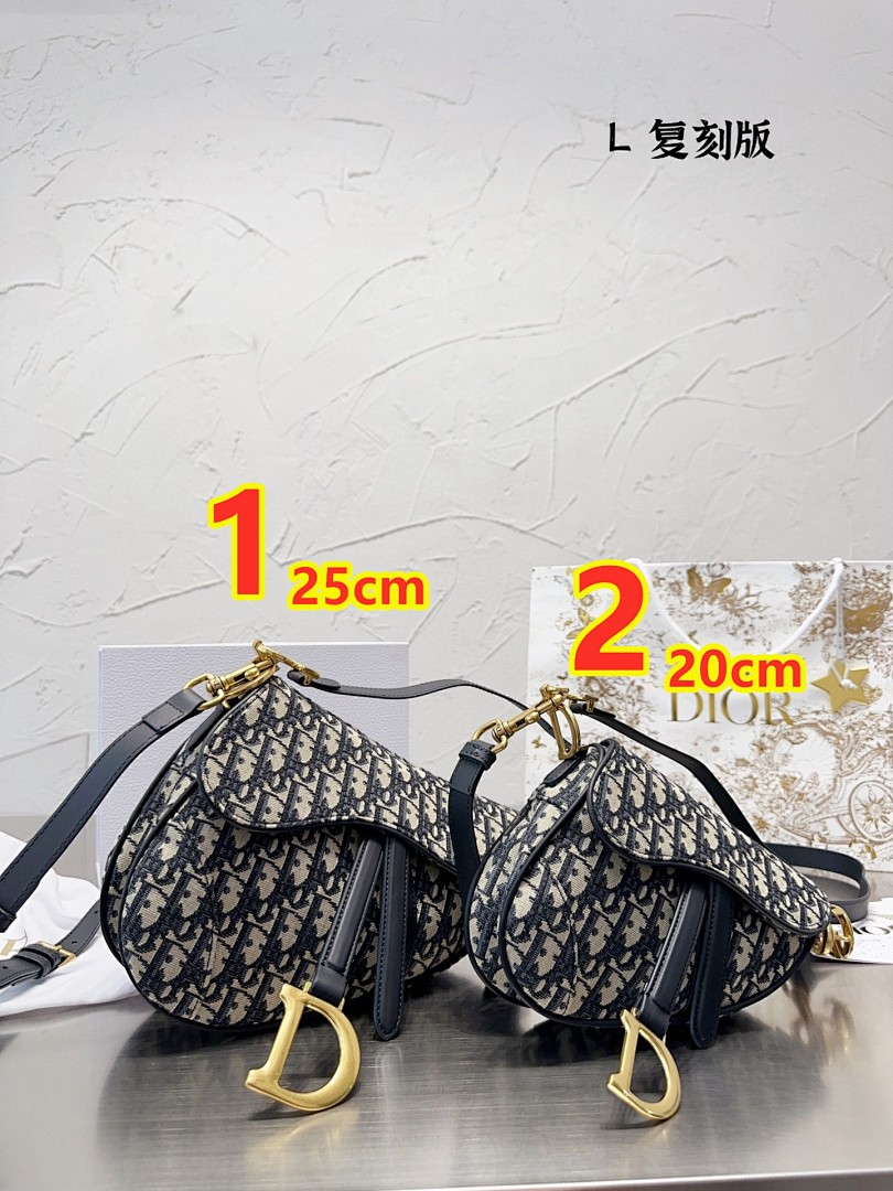 Dior Saddle Bag · 5924