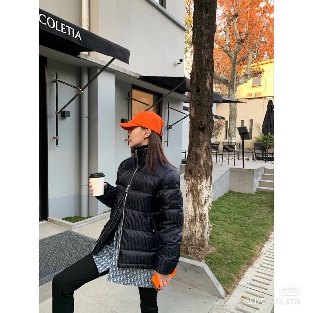 Dior Oblique Down Jacket · 4836