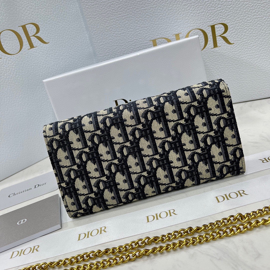 Dior Saddle Wallet on Chain · 5520 — תמונה 15