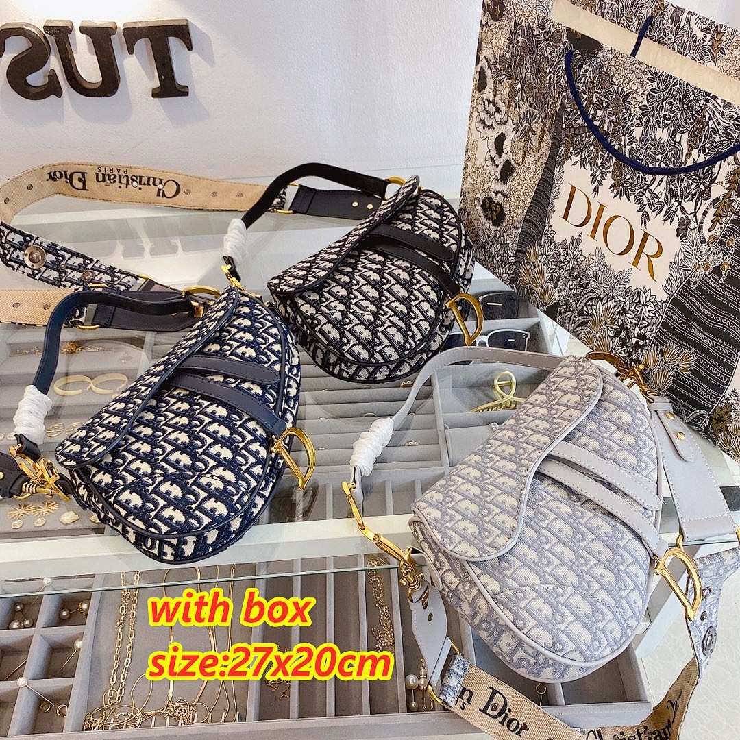 Dior Saddle Bag · 4374