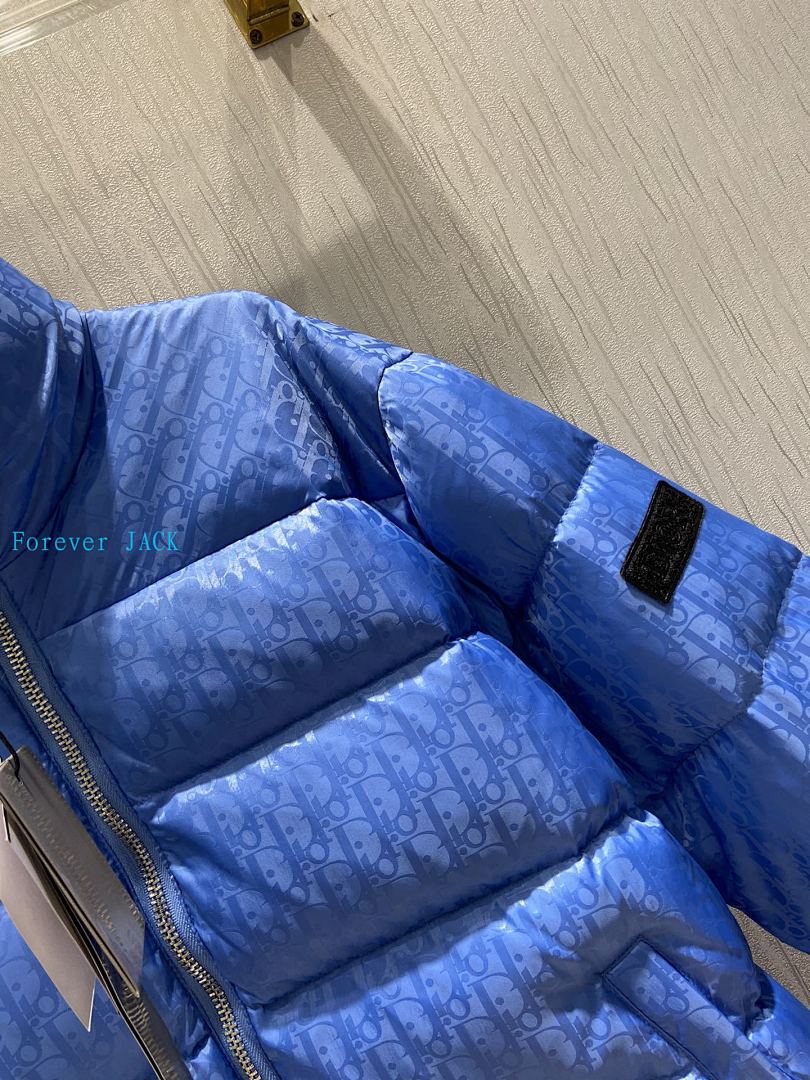 Dior Oblique Down Jacket · 4836 — תמונה 23