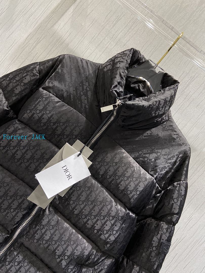 Dior Oblique Down Jacket · 4836 — תמונה 37