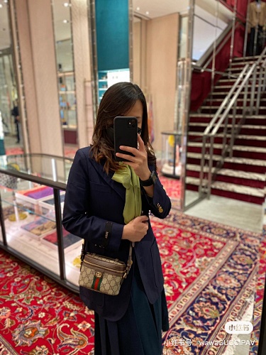 Gucci Ophidia · 4762