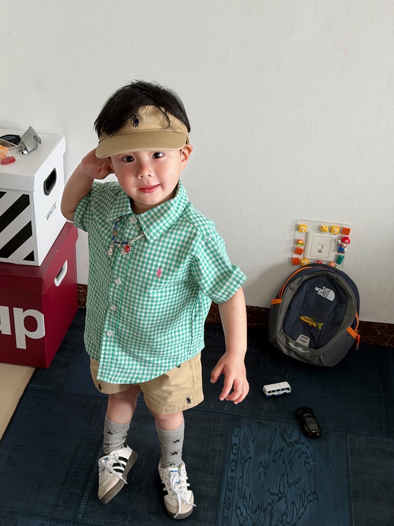 Ralph Lauren Gingham Cotton Poplin Shirt · A3068 — תמונה 13