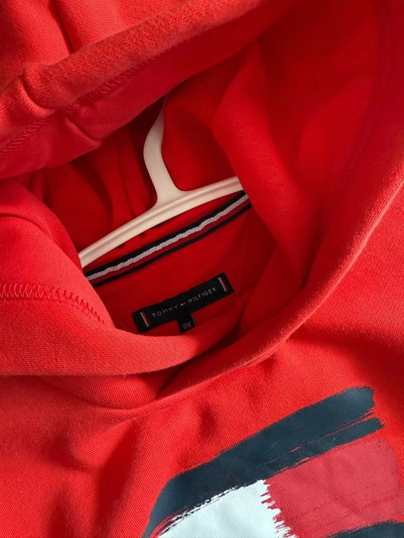 Tommy Hilfiger Paintbrush Flag Hoodie · A2807 — תמונה 8