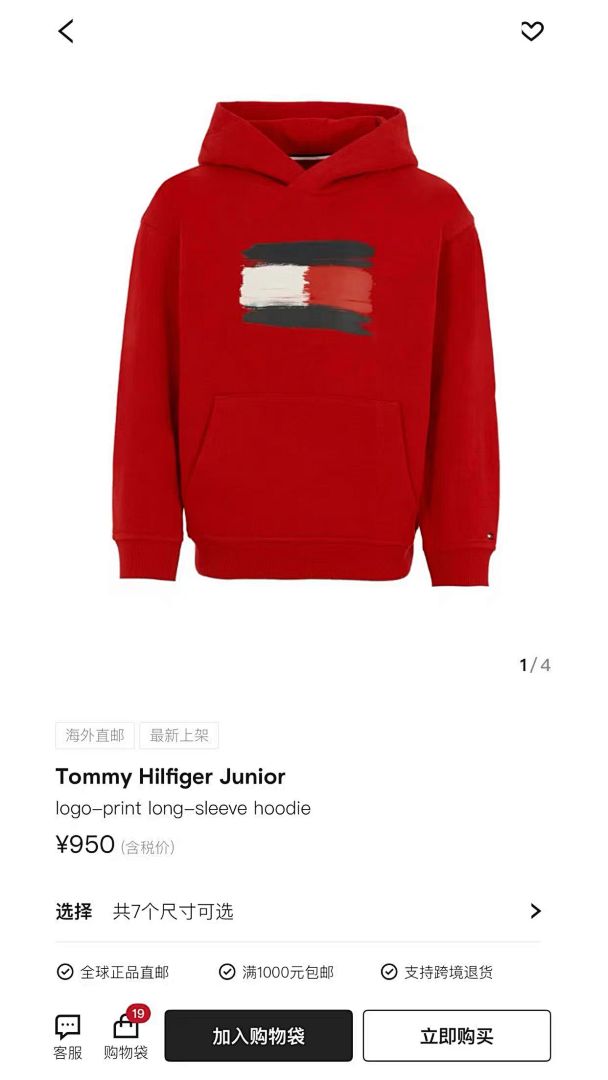 Tommy Hilfiger Paintbrush Flag Hoodie · A2807 — תמונה 16