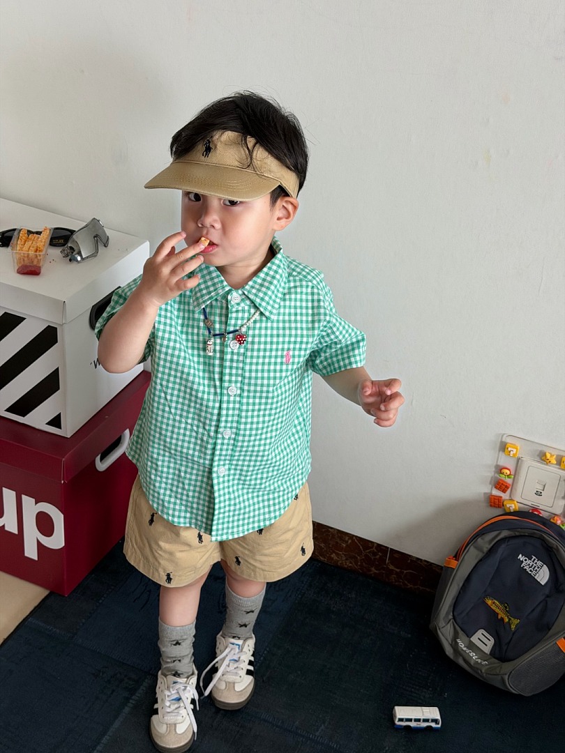 Ralph Lauren Gingham Cotton Poplin Shirt · A3068 — תמונה 14