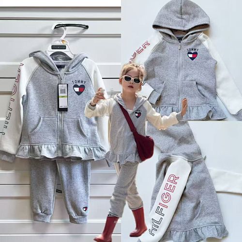 Tommy Hilfiger Flag Logo Zip Hoodie · A2651