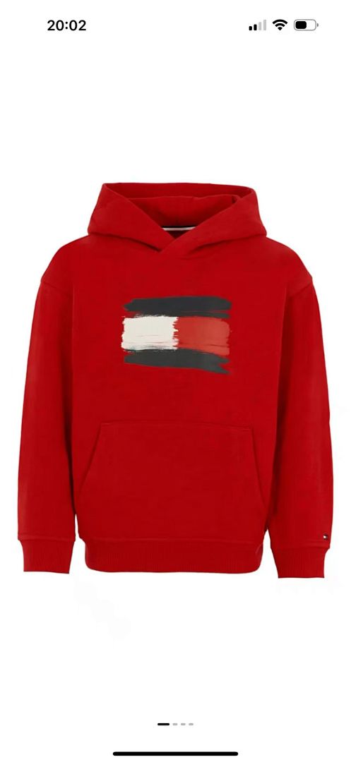 Tommy Hilfiger Paintbrush Flag Hoodie · A2807 — תמונה 15