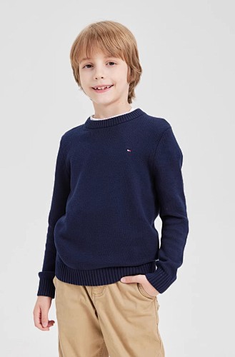 Tommy Hilfiger Essential Pure Lambswool Jumper · A2900