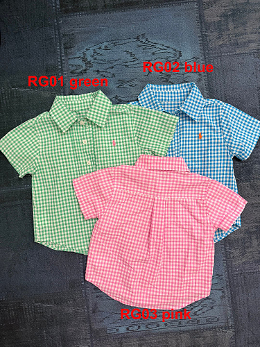 Ralph Lauren Gingham Cotton Poplin Shirt · A3068