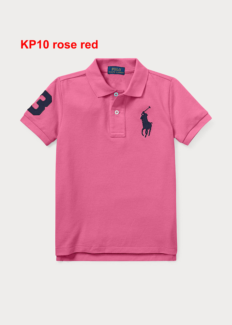 Polo Ralph Lauren Big Pony Pique Knit Polo · A2194 — תמונה 9
