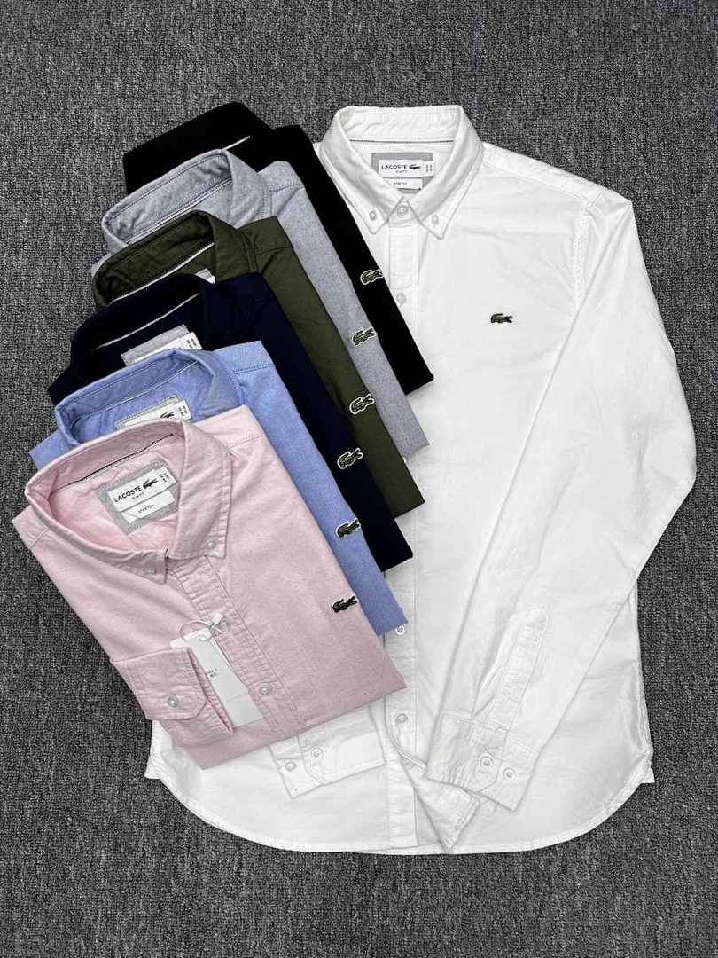 LACOSTE ZT8650